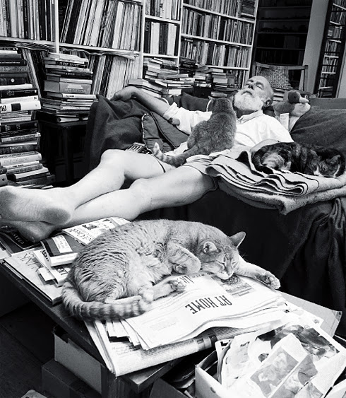 Kitzalet Los escritores y los gatos Ernest Hemingway - Los escritores y los gatos: una relación creativa