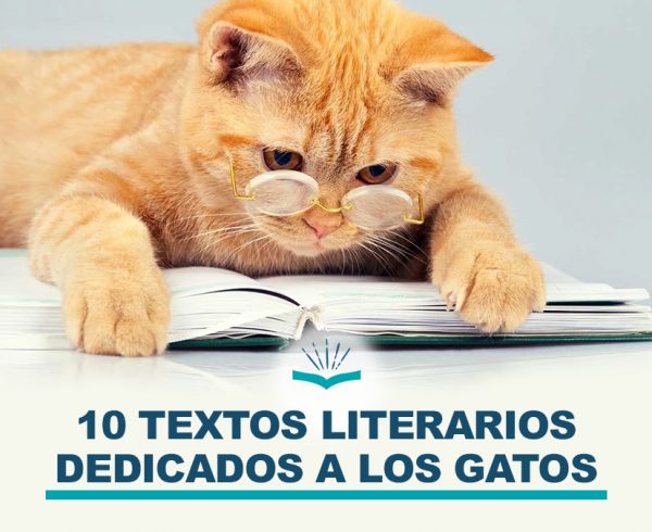 Kitzalet 10 textos literarios dedicados a los gatos