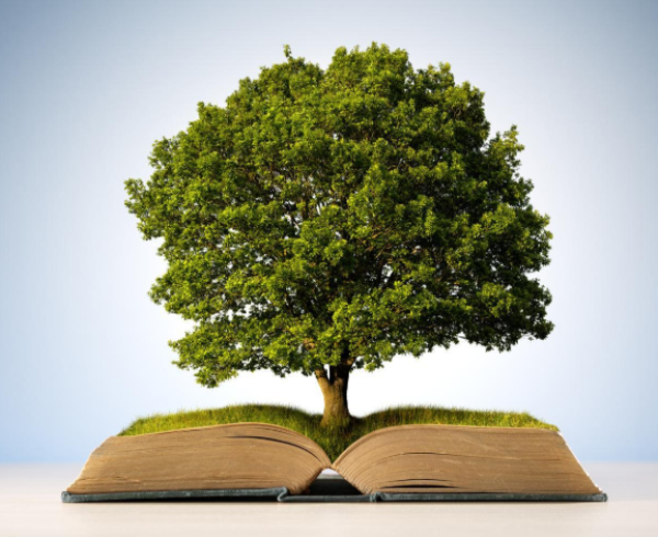 Ecoedición y libro bajo demanda: Cómo la sostenibilidad redefine los servicios editoriales en 2026 por Rafael Núñez Aponte